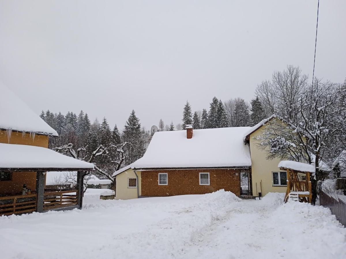У Дядька Pensionat Pilipets Exteriör bild