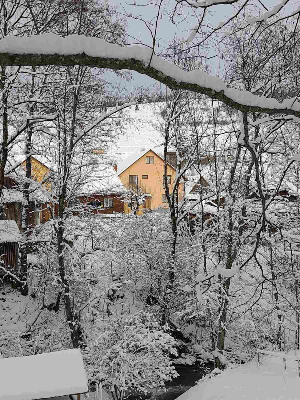 У Дядька Pensionat Pilipets Exteriör bild
